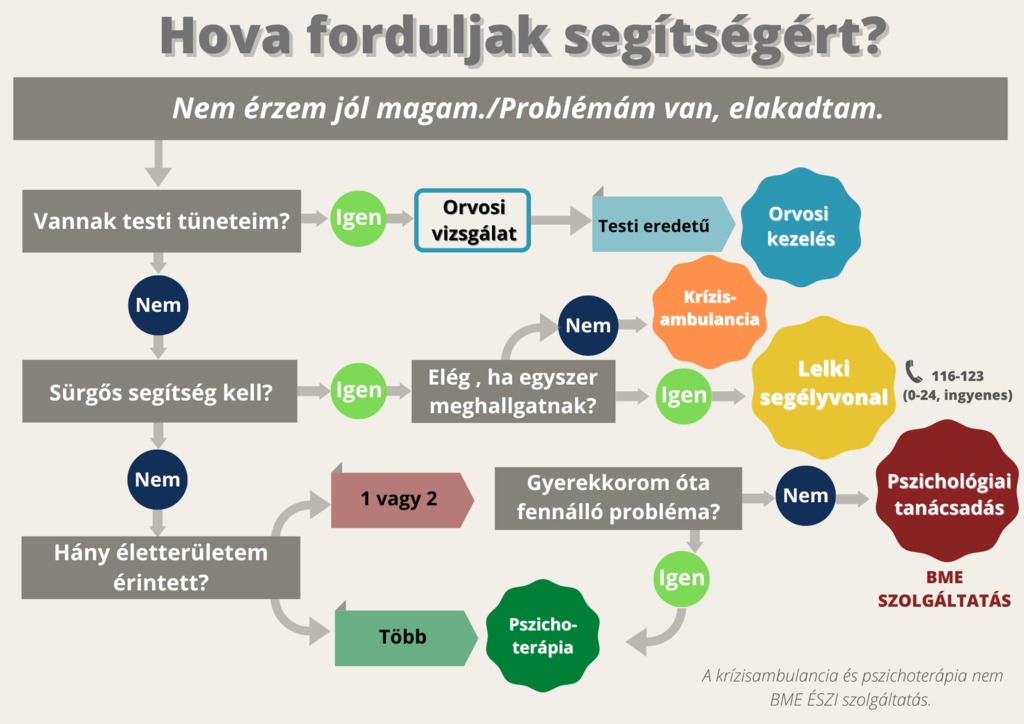 tanácsadás infografika